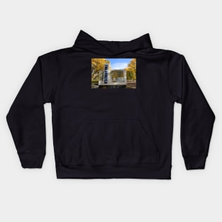 Entry into Chernobyl Kids Hoodie